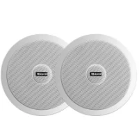 Потолочный динамик