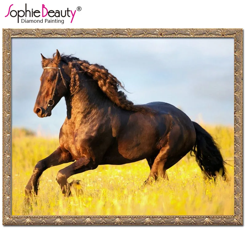 Лошадь ржет. Лошадь ржет. Человек с конем в поле. Лошадь смеется. Лошадь смеется.