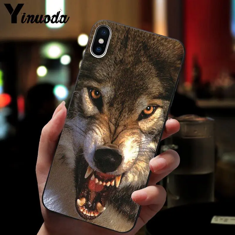 Abstract animal avatar lion wolf  black bear  deer 