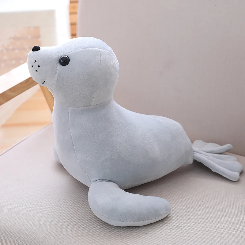 sea lion for kids