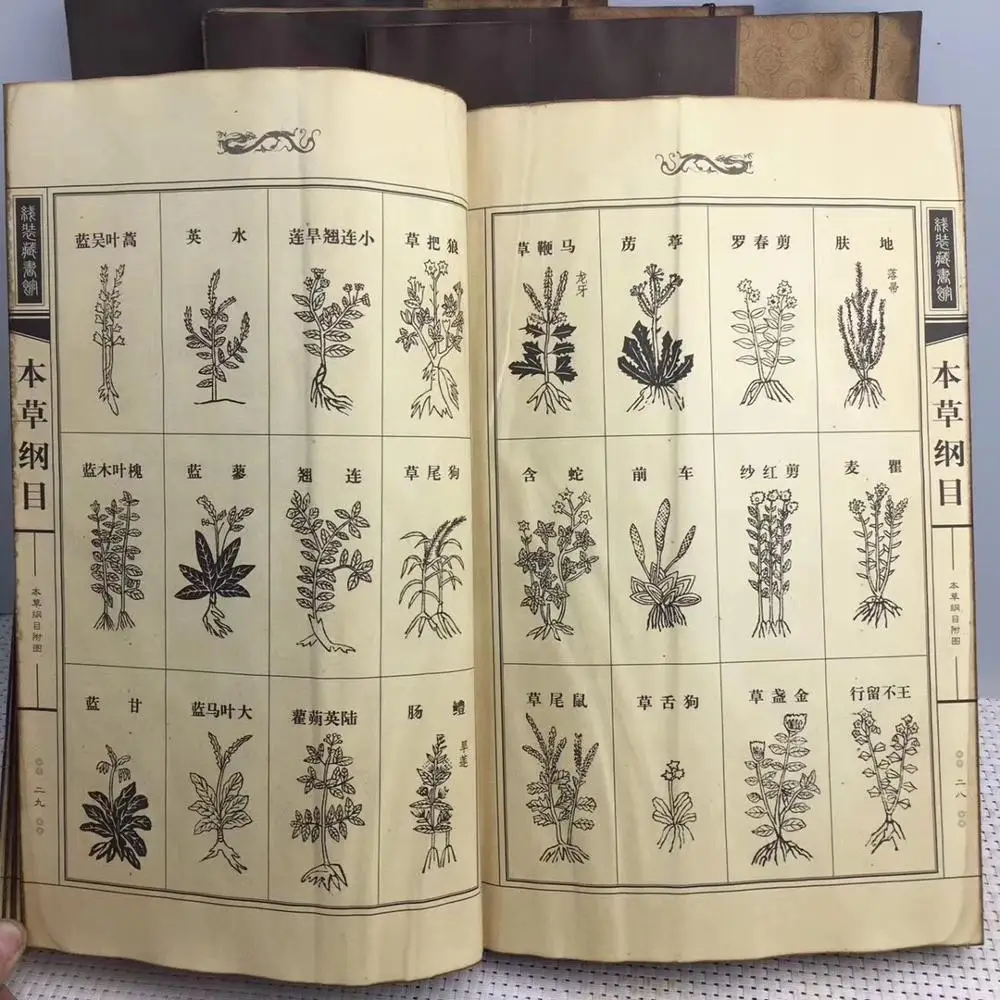 Китайская старая линейная книга медицинская классика Компендиум Materia медика из 4