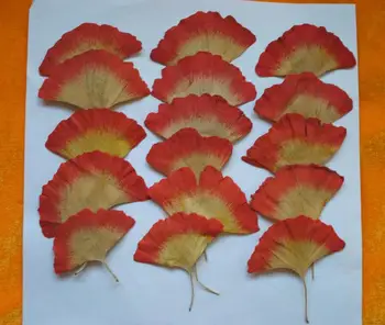 

100pcs 2 Colors Pressed Dried Ginkgo Biloba Maidenhair Leaf Plants Herbarium For Jewelry Postcard Phone Case Making Accessories
