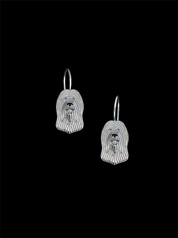Briard (natural ears) 2
