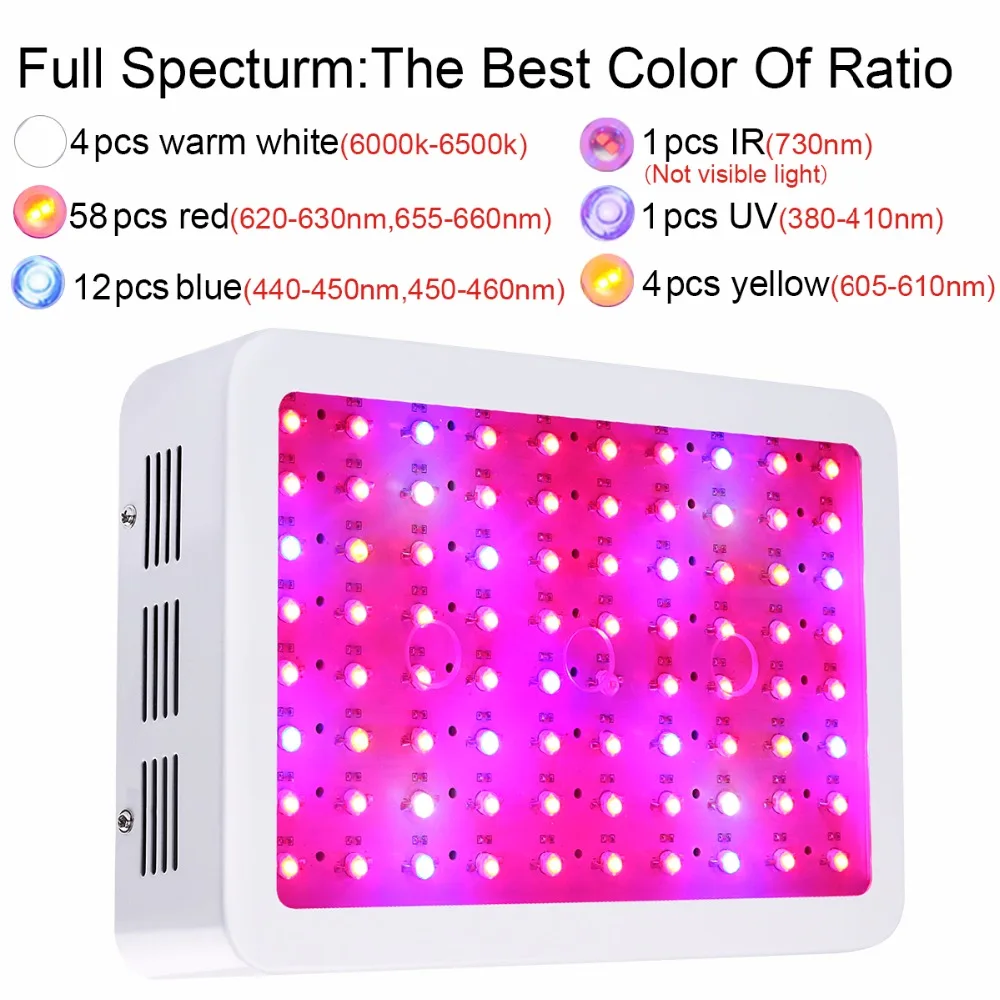 800W