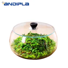 Прозрачная Стеклянная емкость для маринованных овощей емкости для хранения продуктов бытовые ночные пятна маринованные капусты маринованные бутылки запечатаны Набор банок