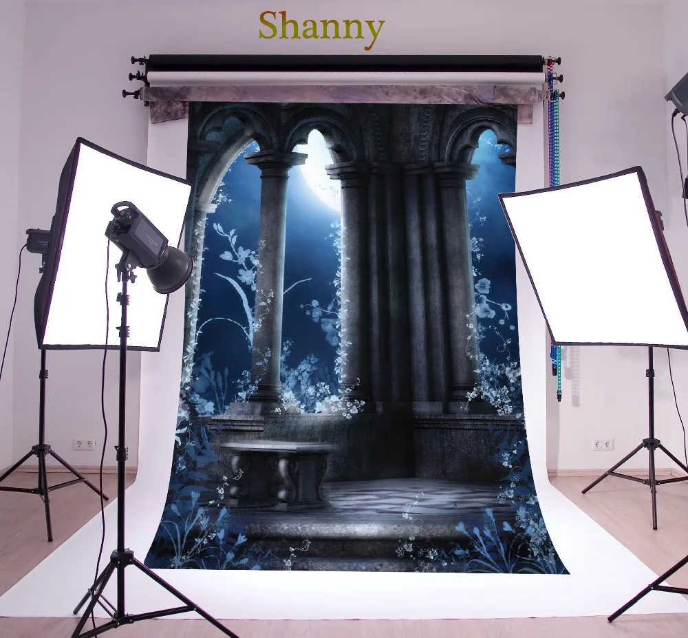 

SHANNY Vinyl Custom Photography Backdrops Halloween Fairy taltheme Photo Studio Props horizontal Photography Background QTWTW-04