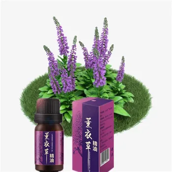 

Beauty Health Lavender Essential Oil Soothing Relax And Relieve Stress Improve Sleep Spa Massage Aromatherapy Oil 10ml