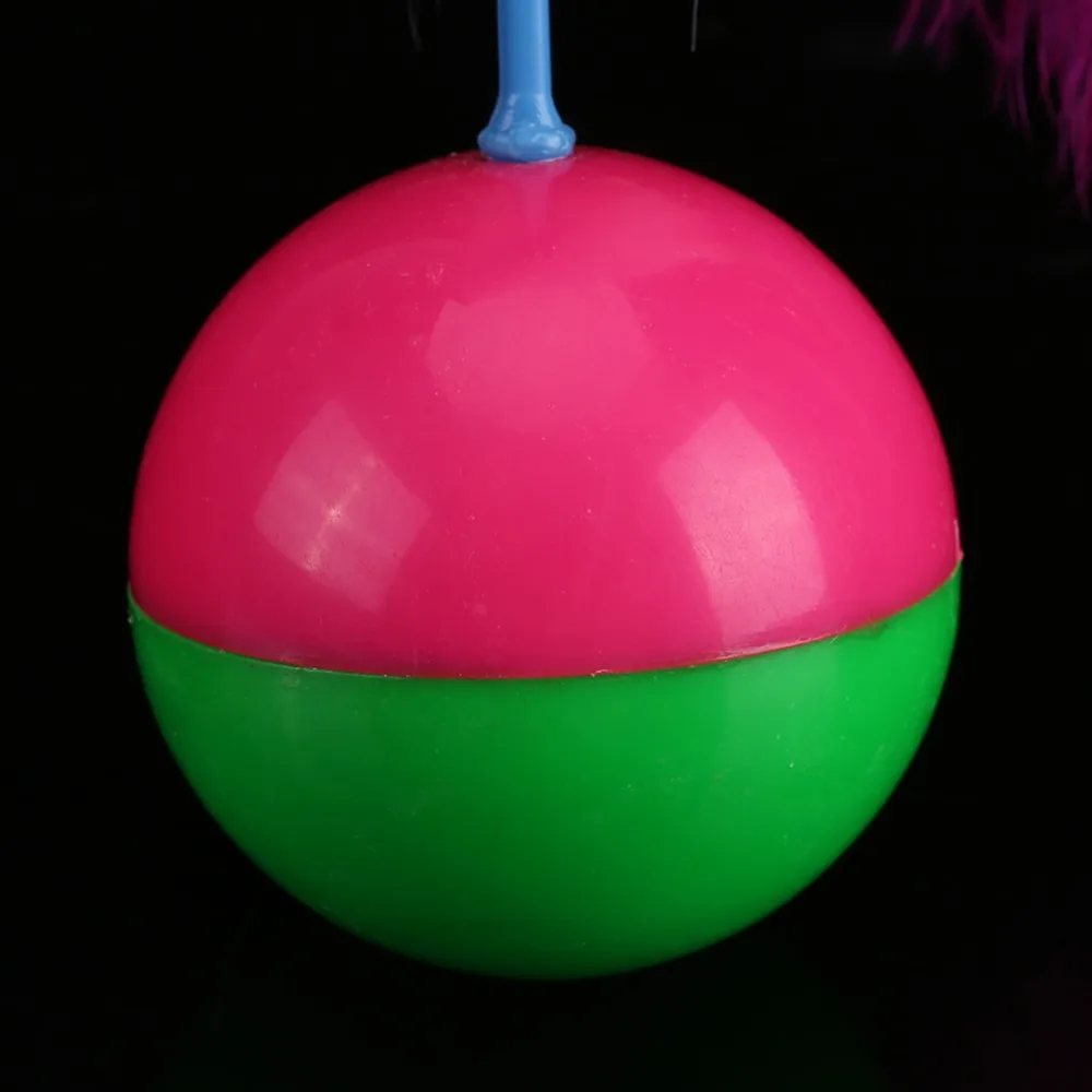 CW00816-12