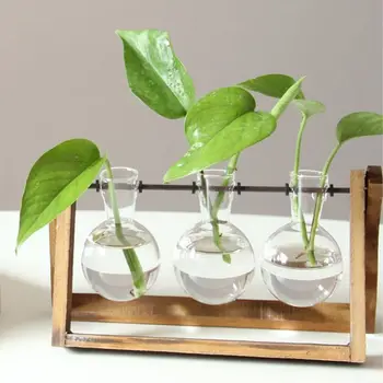 

Plant Terrarium with Wooden Stand Glass Vase Holder for Home Decoration,Scindapsus Container (3 Terrariums)