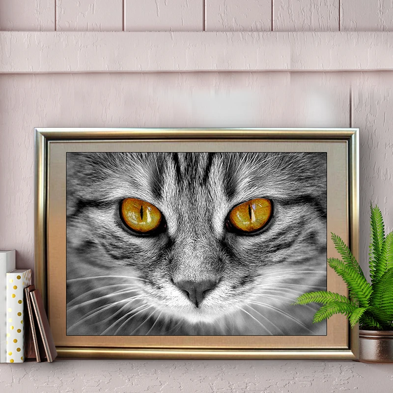 5D DIY Алмазная картина король Кот Вышивка Полный крестом Стразы мозаика домашний