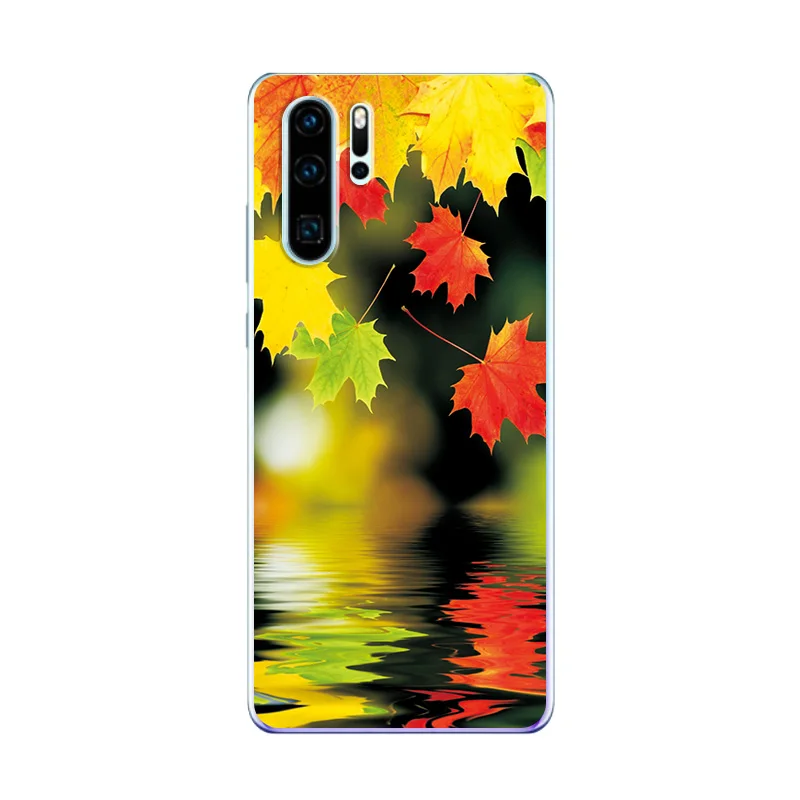 Чехол для телефона huawei P30 Pro Funny Cats Patternd чехол VOG-L29 ELE-L29 TPU чехол Корпус телефона Fundas для huawei P30 Pro блестящий цвет 6,47"