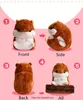 2 Size Hamster Flannel Seat Cushion With Blanket Silk Cotton Core Hand Warmer Pillow Home Decoration Car Office Sofa Cushion ► Photo 3/6