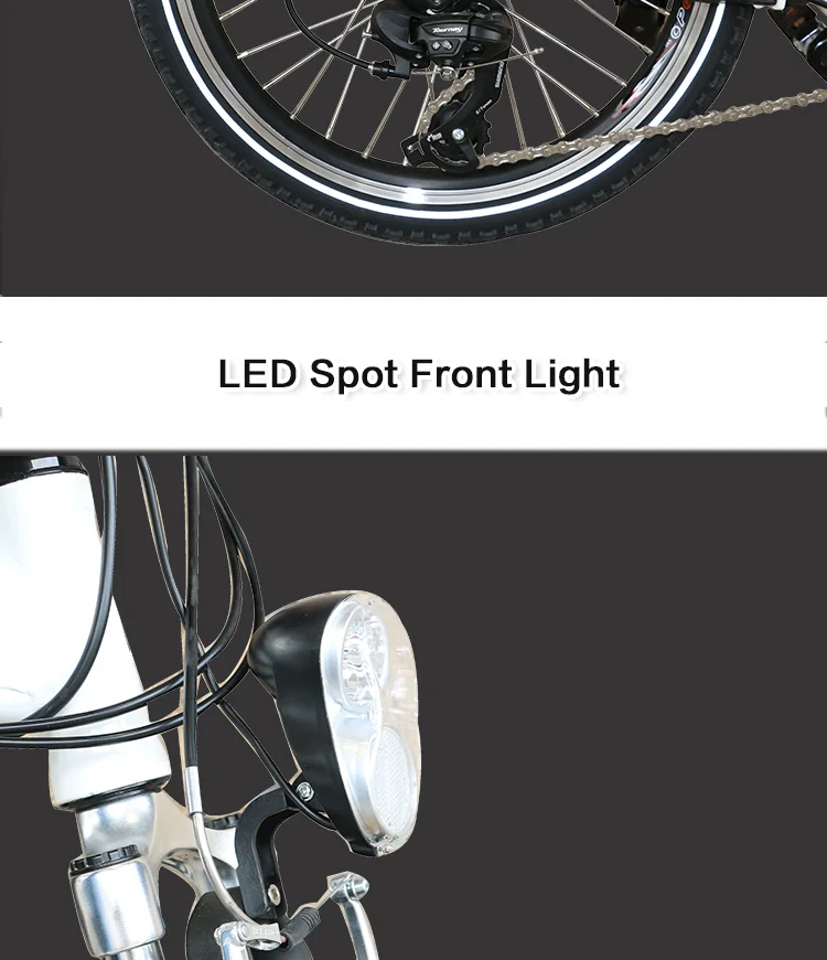 Perfect Free shipping 20" foldable electric bike aluminum alloy 36V 10ah lithium battery 250W brushless motor MTB electric bicycle 10