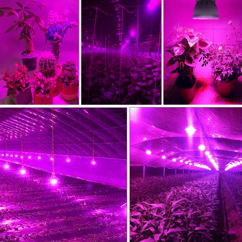 4 шт., E27 Светодиодный светильник для выращивания, полный спектр, светодиодный светильник для растений, 220 В, красный, синий, фито-лампа для растений, для помещений, для теплицы, гидропоника, коробка для выращивания растений