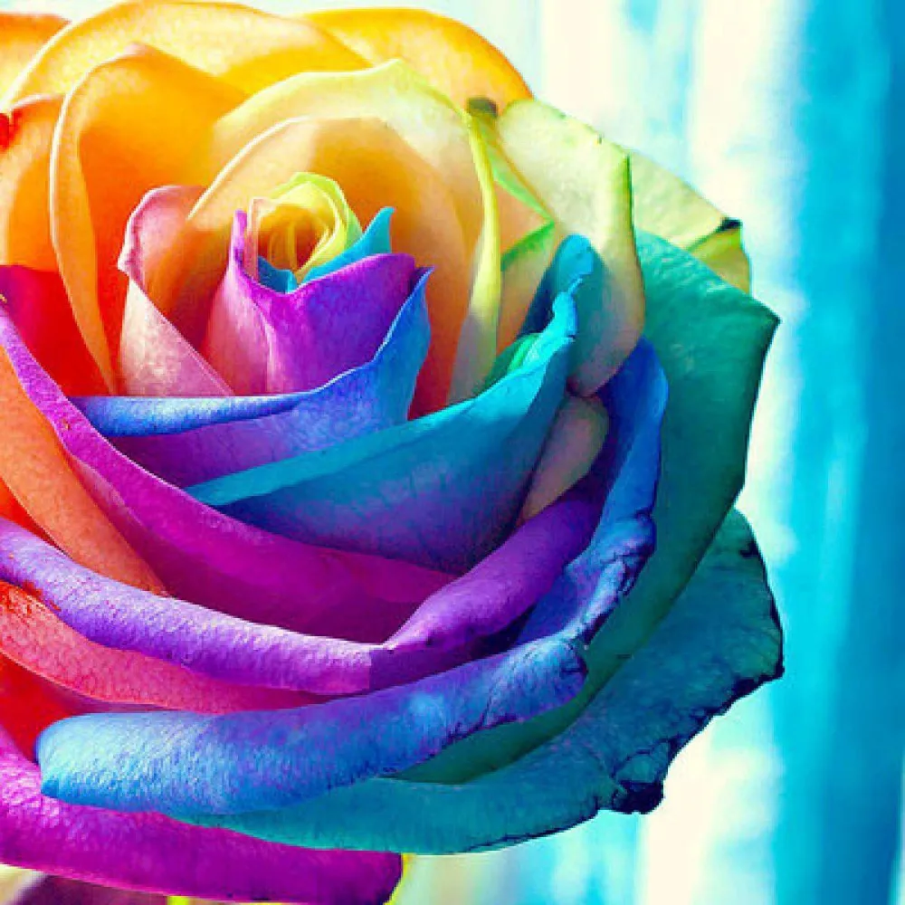 DIY Unfinished Diamond Painting Sets Rhinestone Pasted Decorative Resin