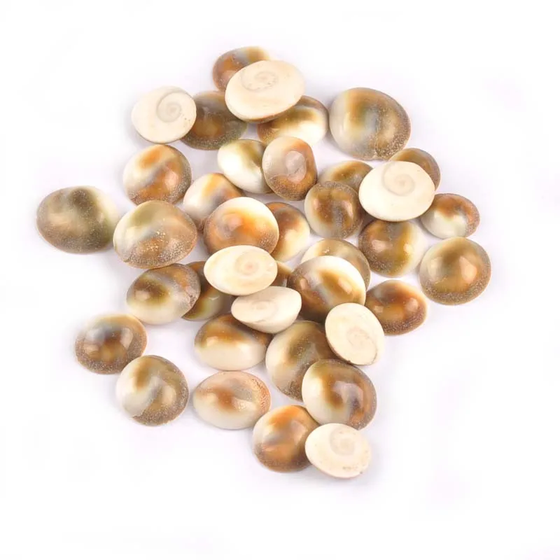 50pcs No Hole Natural Spiral Seashells DIY Scrapbook Crafts Shells Flatback Cabochons Nautical Home Decor 9-12mm TR0064x