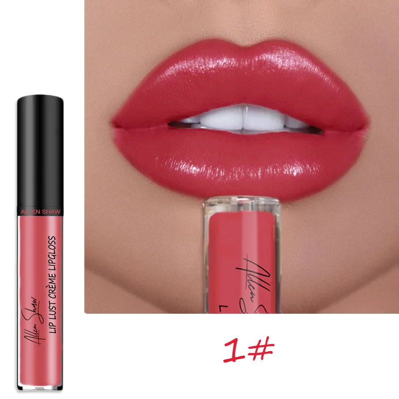 

2019 New Hot Liquid Lipstick Cosmetics Lips Gloss Long Lasting Cashmere Lips Colors Matte Lipstick Makeup Pigment