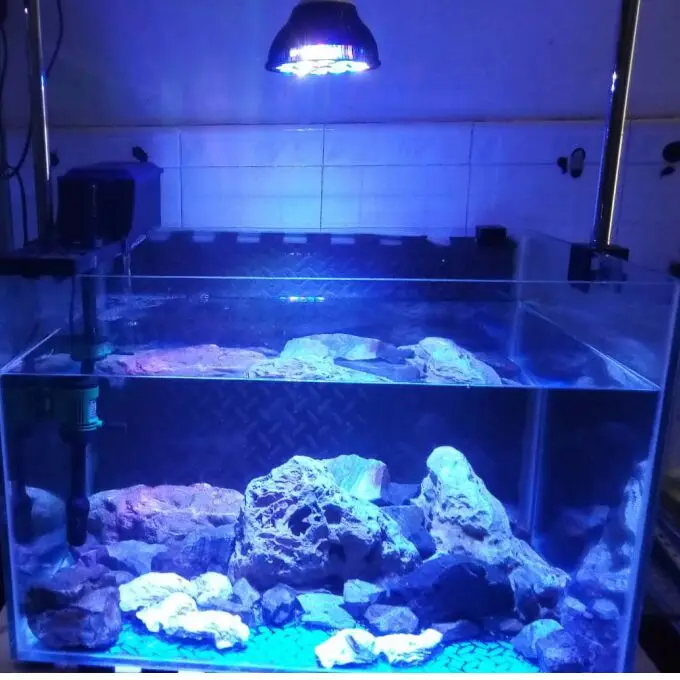 Черный Точечный светильник светодиодный аквариумный светильник светодиодный pet светильник ing аквариум лампа в форме растения 50/54 Вт для морской рыбалки морских коралловых рифов приемный водорослей