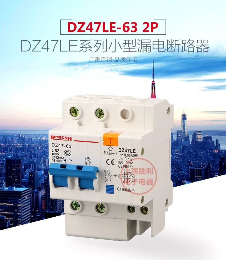 Высокое качество P163 DZ47LE 2P 6-63A двухфазный провод электрошок переключатель защита от утечки остаточный ток автоматический выключатель