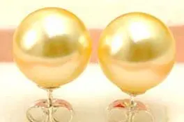 

SALE Big 10MM high luster Perfect Round Gold Sea Shell Pearl Earring & Stering Silver 925 stud-ear155 Wholesale/retail Free ship