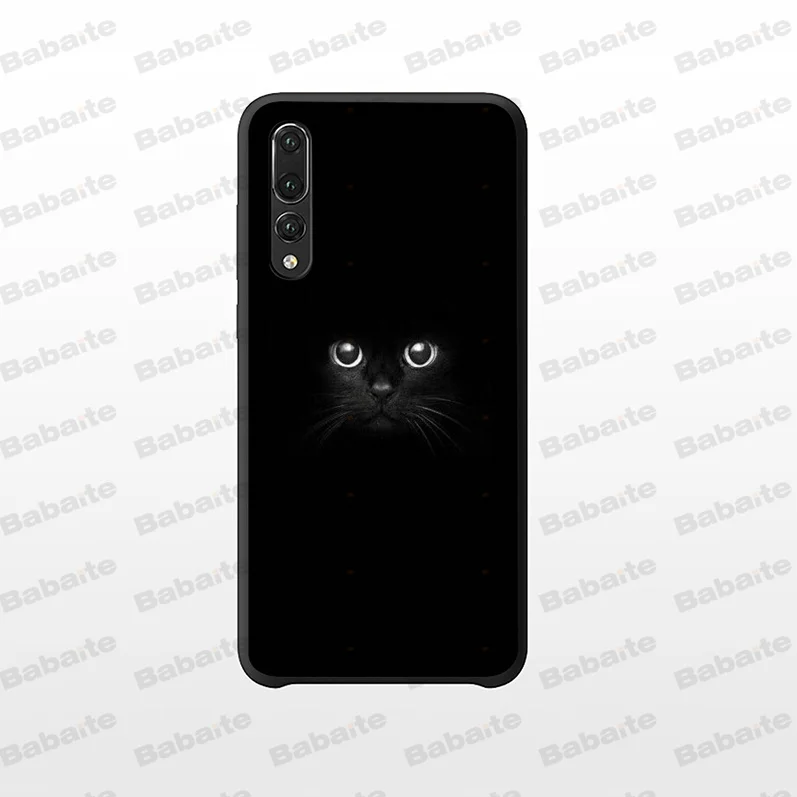 Black Cat Staring Eye