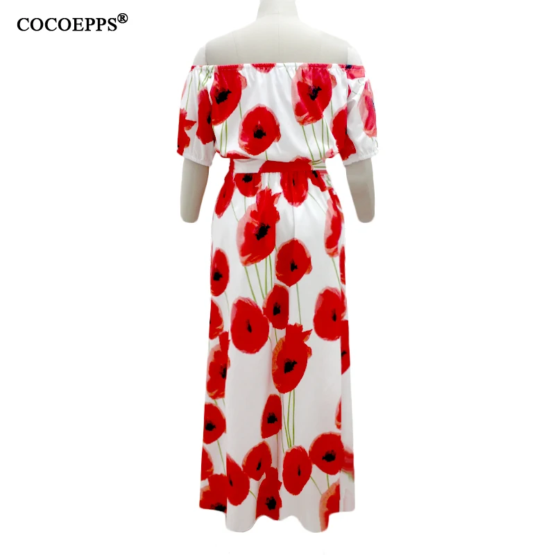 COCOEPPS12