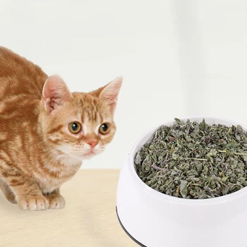 

10 packs Pet Natural Catnip for Cat Top Quailty Catnip Cat GrassHelp digestion Natural health pet snacks Cat Treats Cat toy