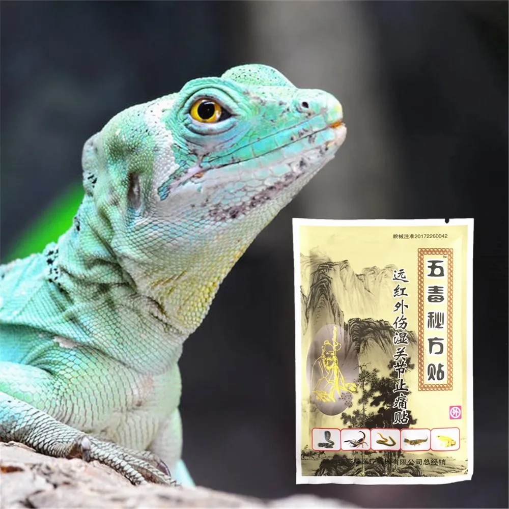MIYUELENI Chinese Herbal Lizard venom Medical Plaster Arthritis Joint