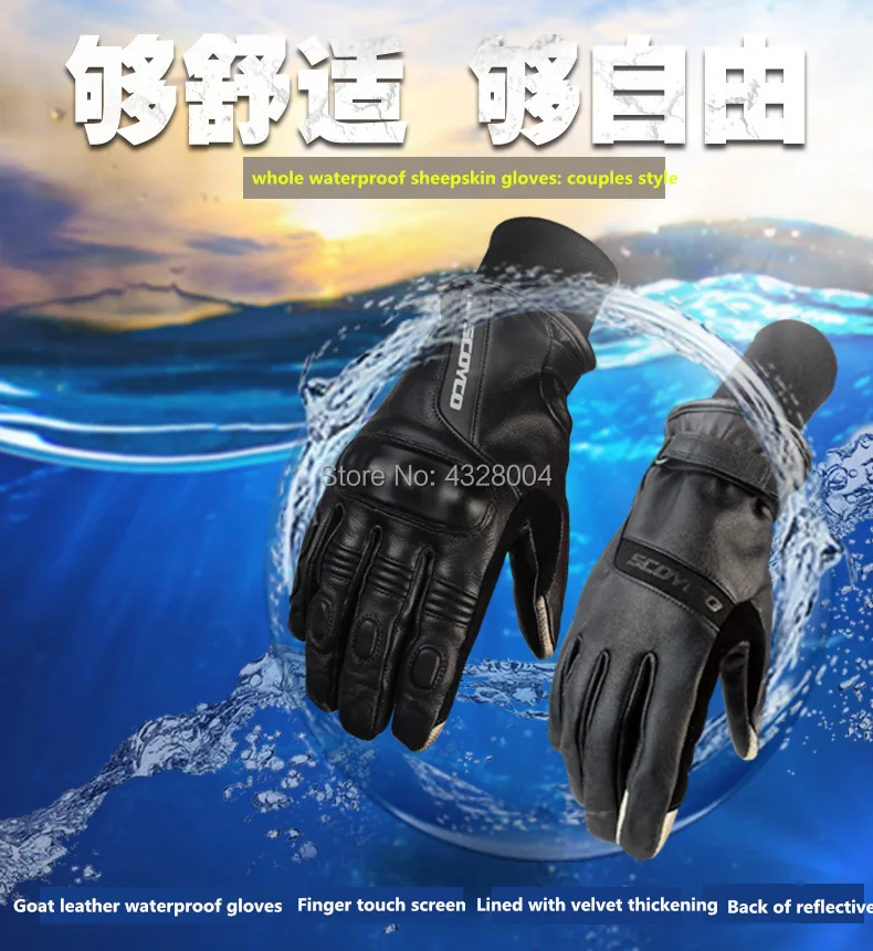 MC31_1