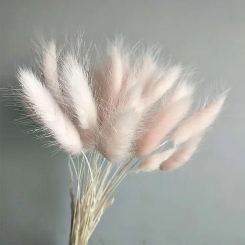 60 шт. сушеные натуральные Цветочные букеты, Красочные букеты lagunus ovatus& Uraria picta& rabbit tail grass букеты грозди - Цвет: Light Pink