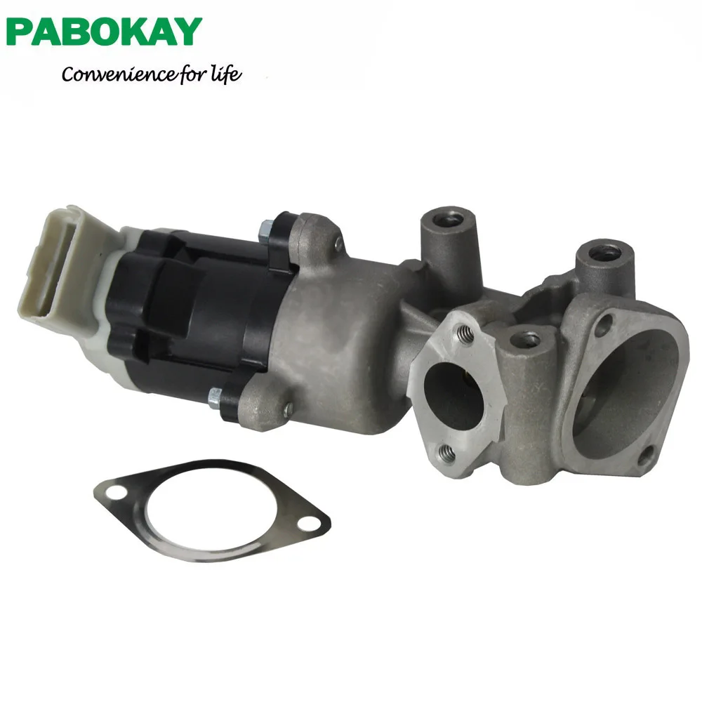 

For Citroen C5 C6 & Peugeot 407 607 2.7 HDi EGR Valve LR018465 1618.N7 JDE3314 C2C40183 LR006995 1316149 1618QF 1618N7 1618.QF