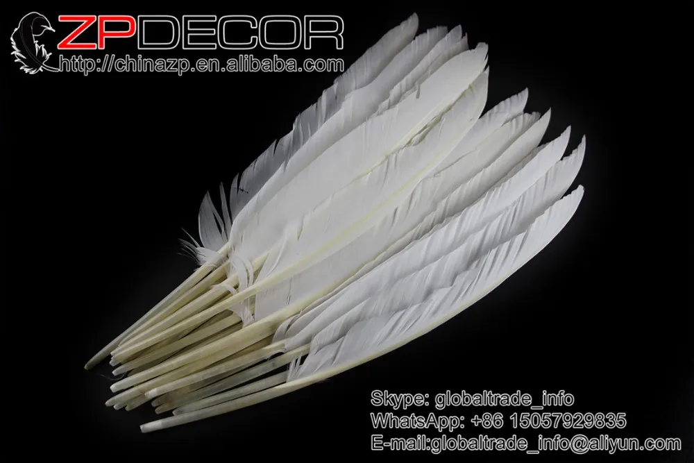 duck pointer primary wing feathers white dyed (2)
