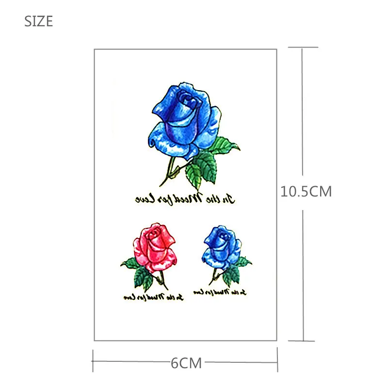 525 SIZE
