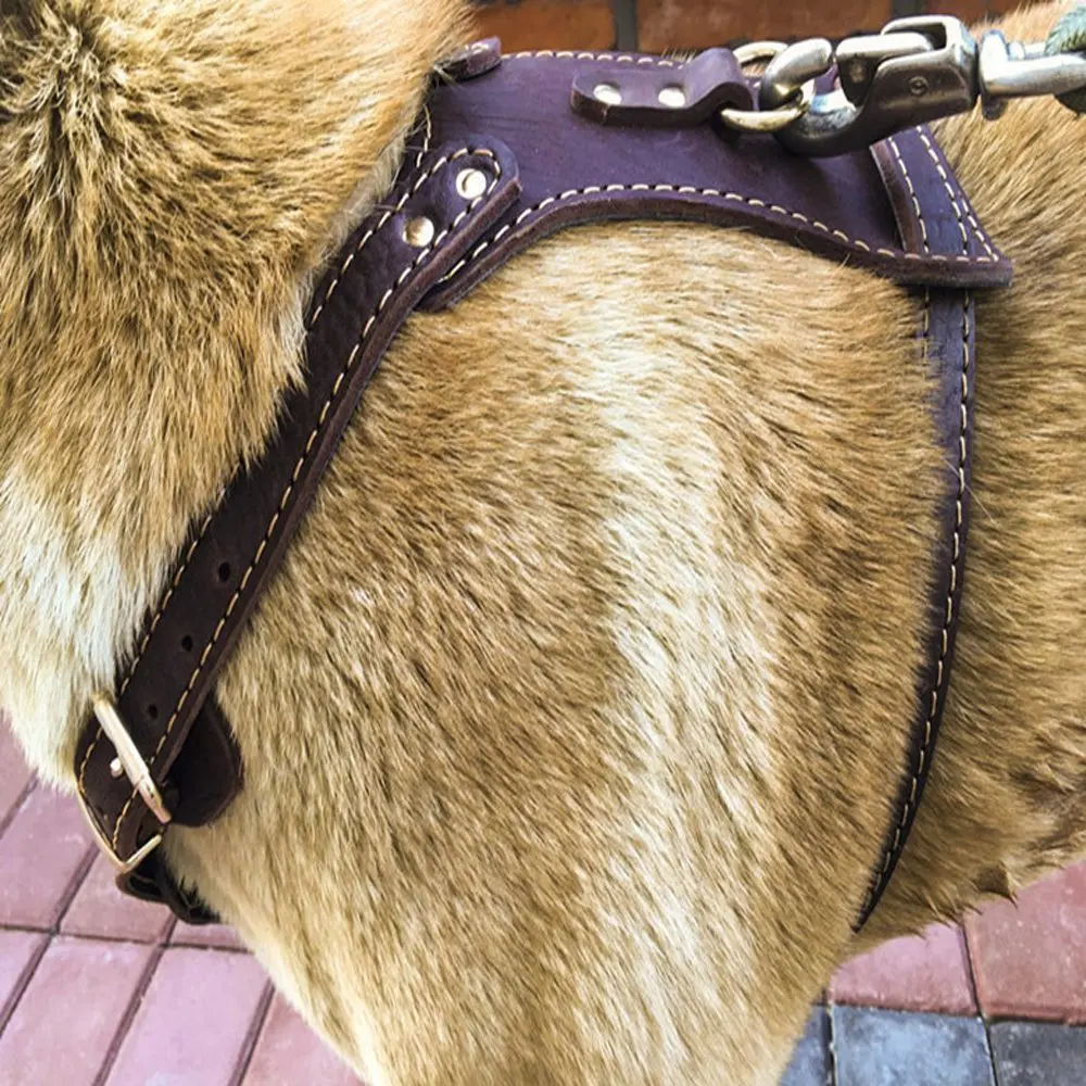 Регулируемый кожаный жилет для собак среднего и крупного размера Pitbulls|dog harness|harness