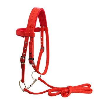 

Adjustable Horse Riding Equipment Halter Horse Bridle With Bit And Rein Belt For Horse Equestrian Accessories Soft Thicken,L S