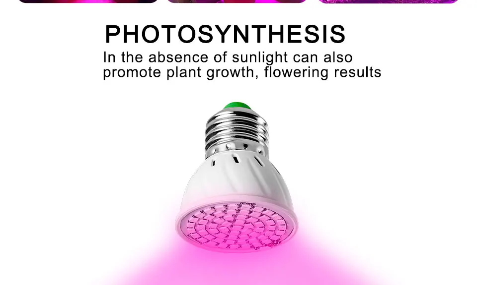 lamp for plants (5)