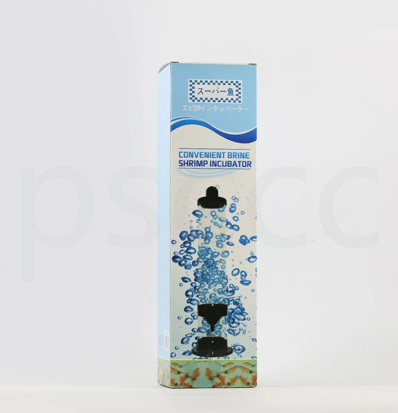 -6