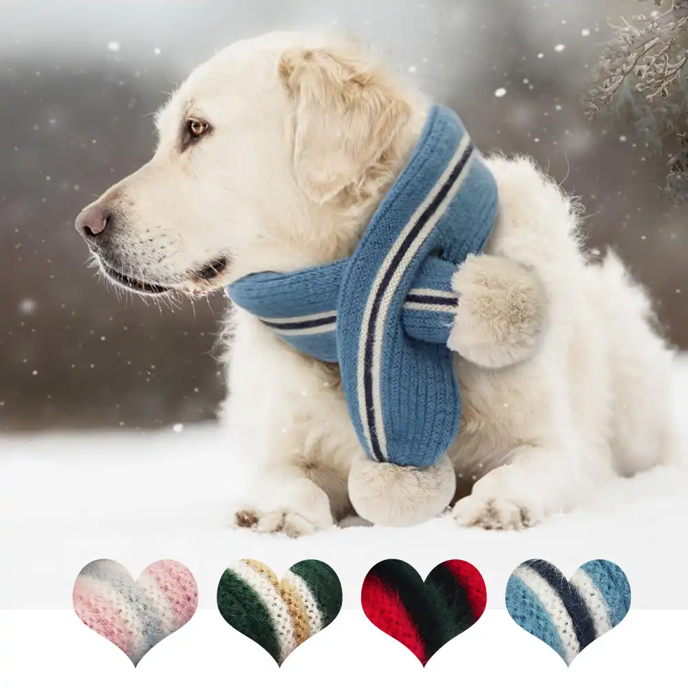 dog winter scarf