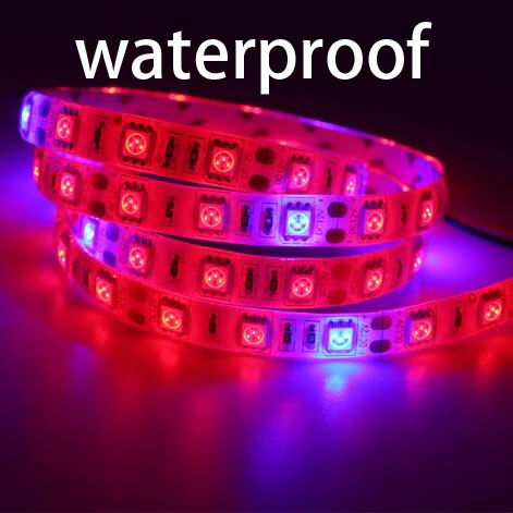 5050-strip-Light-power-adapter-for-Garden-Flowering-Plant