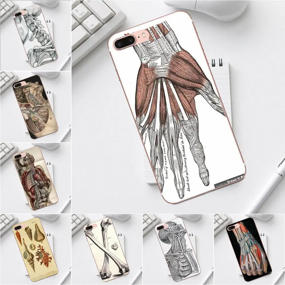 

Qdowpz Vintage Grey's Anatomy Soft Pattern Pink For iPhone 4 4S 5 5C SE 6 6S 7 8 Plus X XS Max XR Galaxy A3 A5 J1 J3 J5 J7 2017