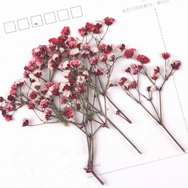 

2017 Baby's breath Pressed Flower Arrangements For Wall Painting Ornaments Wholesale free shipment 80 Pcs