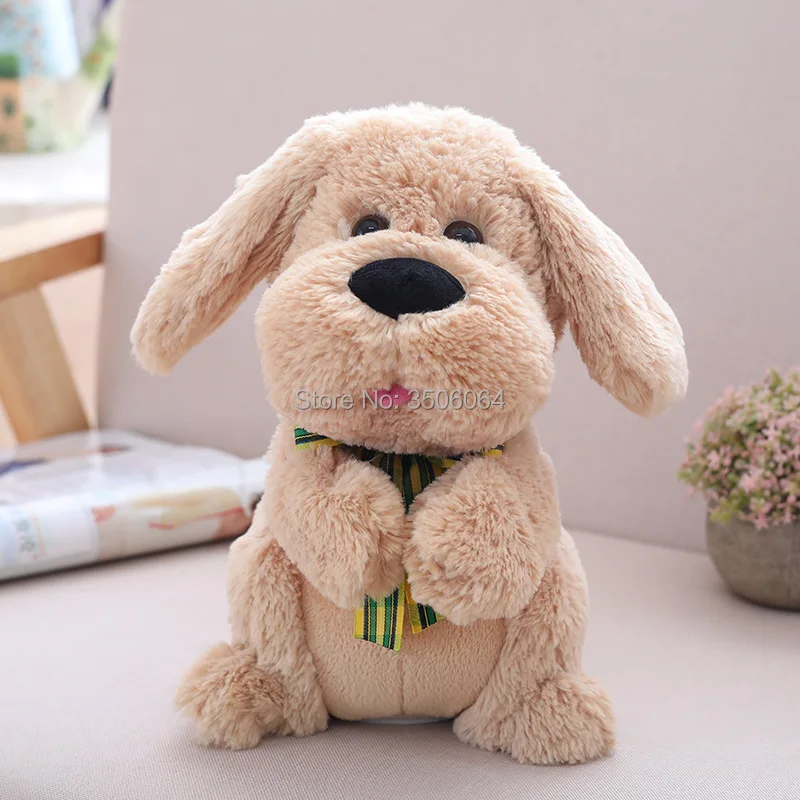 boo the dog plush toy