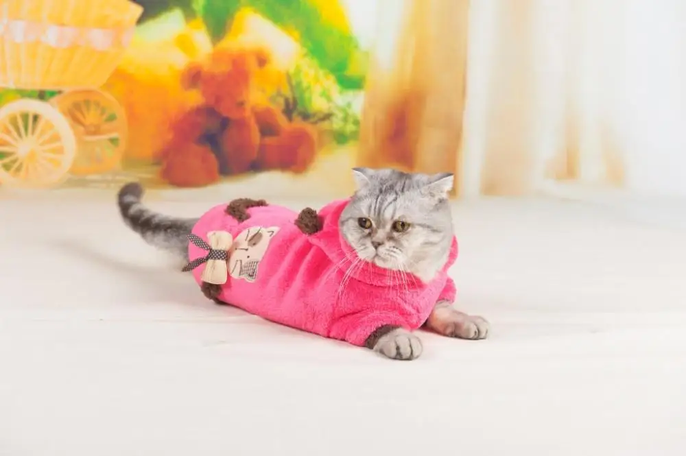 Новая зимняя одежда для домашних животных, котов коралловый флисовый пуловер; теплая куртка с капюшоном Костюмы одежда для конкурсов красоты для маленьких котенок кошка костюм