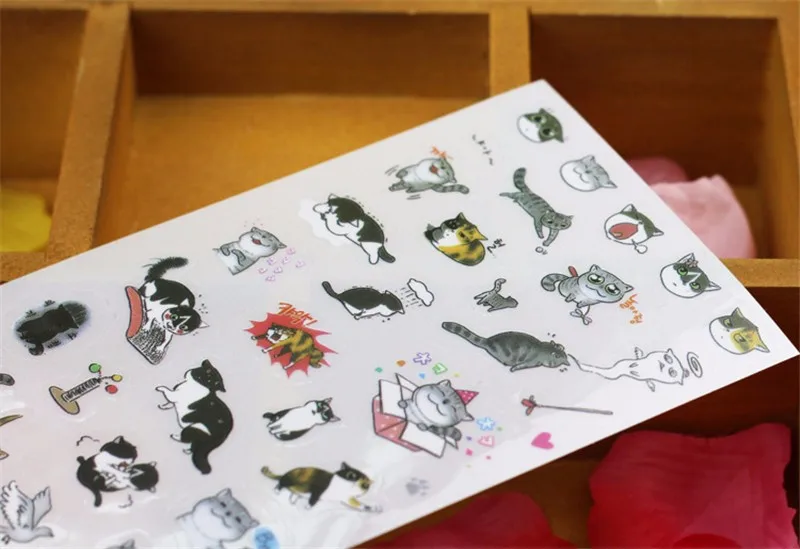 2922893210_1536718367