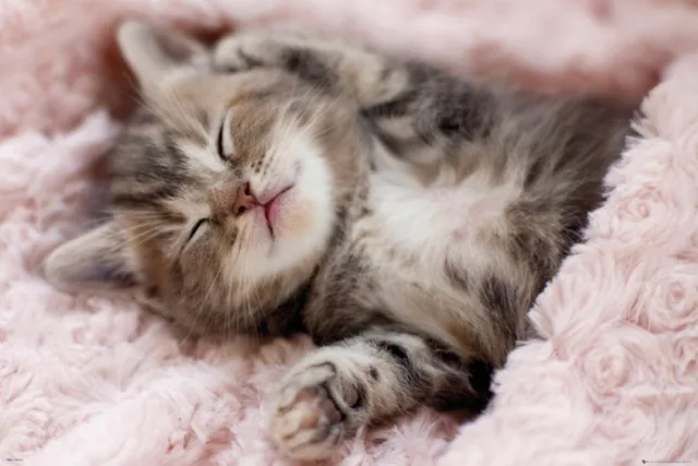 Blankets Comfort Warmth Soft Cozy Air conditioning Easy ...