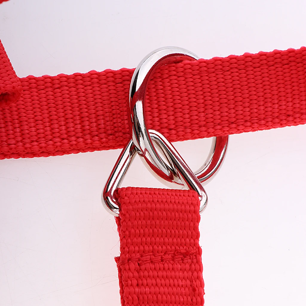 Strong and Durable Adjustable Webbing Equestrian Horse Halter Horse Riding Wear Adjustable Equestrian Horse Halter 