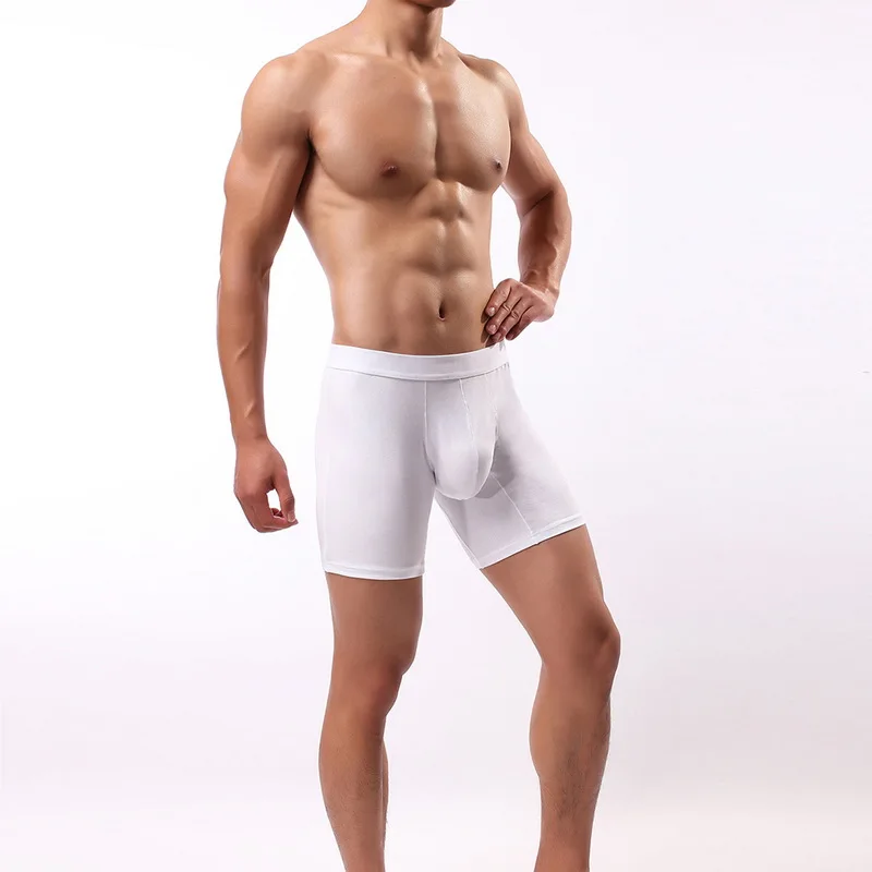

Men Boxers Underwear Brand Sexy Men Panties Comfortable Breathable Solid Underpants Mens Ventilate Male Boxer Soft Undershorts
