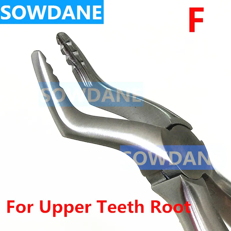 

1 pcs Dental Children Tooth Extraction Plier For Upper Tooth Root Stainless Steel Dental Orthodontic Surgery Forcep Instrument