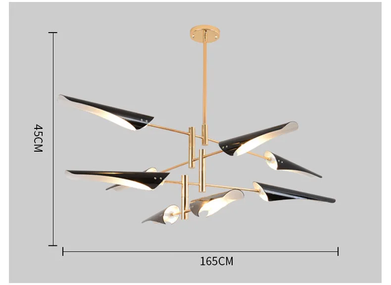 z (6)