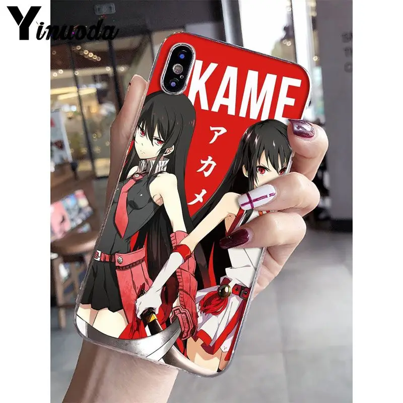 Akame Ga Kill Anime